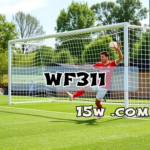 wf311.com: Aprenda a Jogar como um Profissional com Nossos Guias