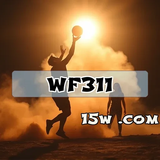 wf311.com: Venha Experimentar a Diversidade do Poker Online